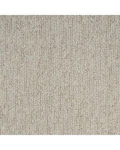 Masland Mesa Bella Marron Carpet 362