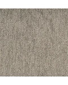 Masland Mesa Bella Vision Carpet 373