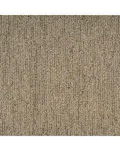Masland Mesa Bella Nuez Carpet 720