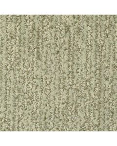 Masland Mesa Verde Fairmont Carpet - 9519-534