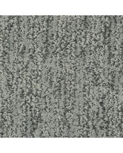 Masland Mesa Verde Aspen Carpet - 9519-635