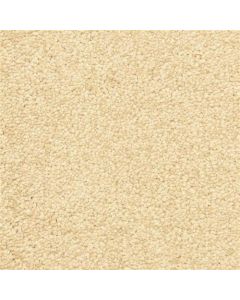 Masland Morgan Bay Autumn Blush Carpet - 9550-235