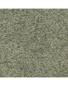 Masland Morgan Bay Muir Woods Carpet - 9550-577