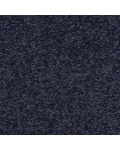 Masland Morgan Bay Varsity Carpet - 9550-670