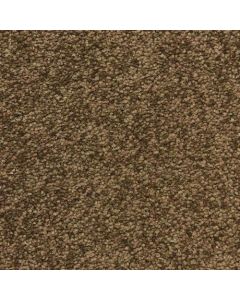 Masland Morgan Bay Balcony Carpet - 9550-742