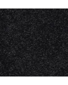 Masland Morgan Bay Metropolis Carpet - 9550-764