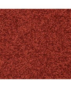 Masland Morgan Bay Cherry Carpet - 9550-980
