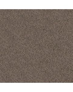 Masland MZ760 Brookside Carpet - 9722-559