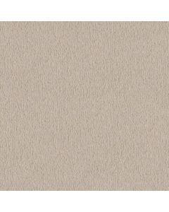 Masland MZ760 Antique Lace Carpet - 9722-701