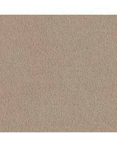 Masland MZ760 Shoreline Carpet - 9722-717