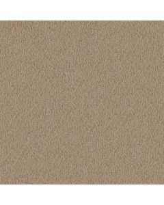 Masland MZ760 Pebble Path Carpet - 9722-718