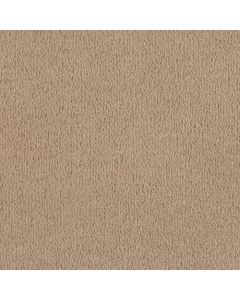 Masland MZ760 Sculpture Carpet - 9722-725
