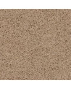 Masland MZ760 Parchment Carpet - 9722-727