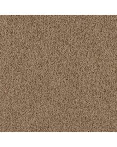 Masland MZ760 Chamois Carpet - 9722-738