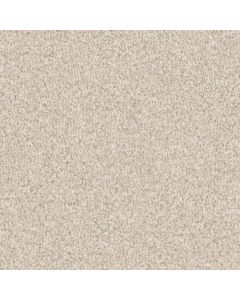 Masland MZ848 Beach Powder Carpet - 9719-715