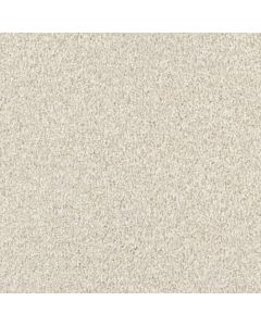 Masland MZ848 Linen Carpet - 9719-718