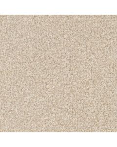 Masland MZ848 Chamois Carpet - 9719-731