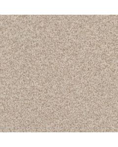Masland MZ848 Seashell Carpet - 9719-737
