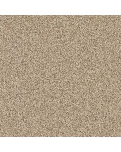 Masland MZ848 Sesame Seed Carpet - 9719-821