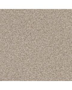 Masland MZ848 Driftwood Carpet - 9719-845