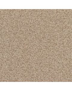Masland MZ848 Craftsman Carpet - 9719-848