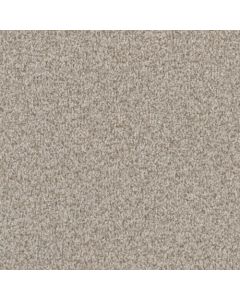 Masland MZ860 Cobblestone Carpet - 9720-829
