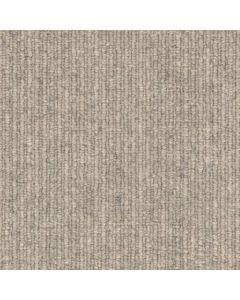 Masland MZ902 Greige Carpet - 9124-703