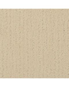 Masland Nature's Essence Fresh Start Carpet - 9537-104