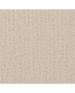 Masland Nature's Essence Dust Carpet - 9537-223