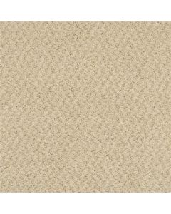 Masland New Hope Cappuccino Carpet - 9478-546