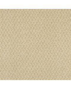 Masland New Hope Coriander Carpet - 9478-547