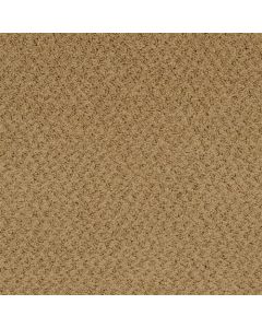 Masland New Hope Butter Rum Carpet - 9478-667