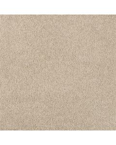 Masland Oceanside Alphano Carpet - 9495-525