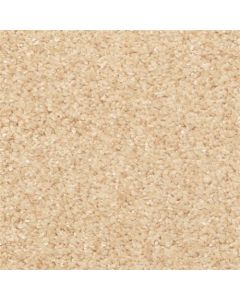 Masland Opalesque Apricot Carpet - 9528-202