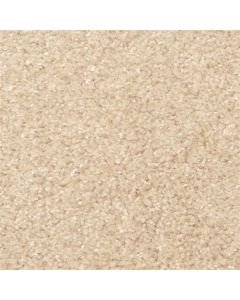Masland Opalesque Husk Carpet - 9528-238