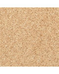 Masland Opalesque Foundry Carpet - 9528-339