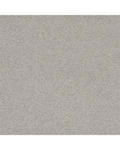 Masland Panache Nickle Carpet - 9431-327