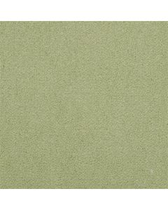 Masland Panache Aloe Carpet - 9431-381