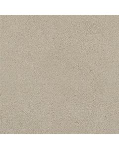 Masland Panache Avena Carpet - 9431-415