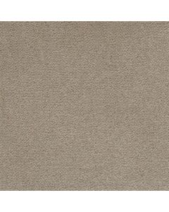 Masland Panache Ash Carpet - 9431-418