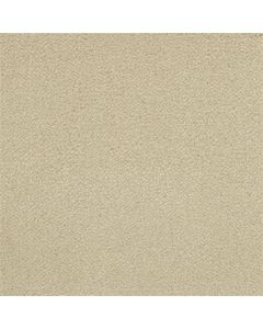 Masland Panache Bianca Carpet - 9431-429