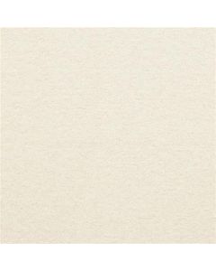 Masland Patriot Cloud Nine Carpet - 9588-16