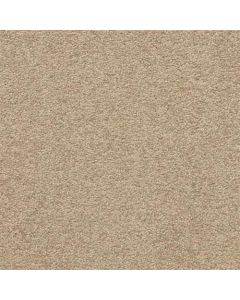 Masland Patriot Basin Carpet - 9588-350
