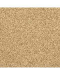 Masland Patriot Ancestral Carpet - 9588-382
