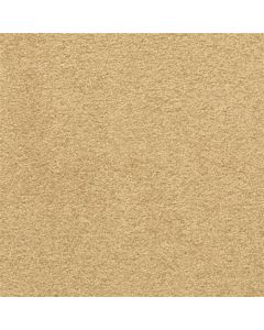 Masland Patriot Celebrate Carpet - 9588-439