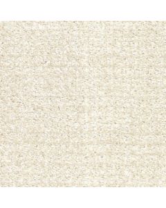 Masland Pedigree Dog-Gone It Carpet - 9690-711
