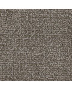 Masland Pedigree Brad Pitbull Carpet - 9690-899