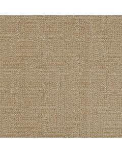 Masland Prestigious Doubloon Carpet - 9729-751