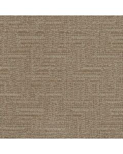 Masland Prestigious Latte Carpet - 9729-818