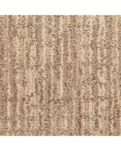 Masland Private Collection Photographs Carpet - 9570-306